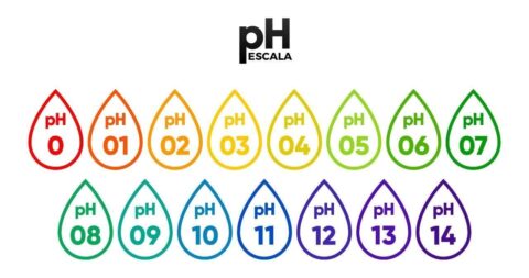 Qual a Tabela de pH da Água? | Água Kangen Saúde