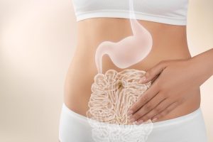 Hidratação e Flora Intestinal: Qual a relação?